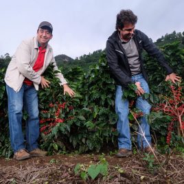 Brazil Fazenda Dutra Jatoba