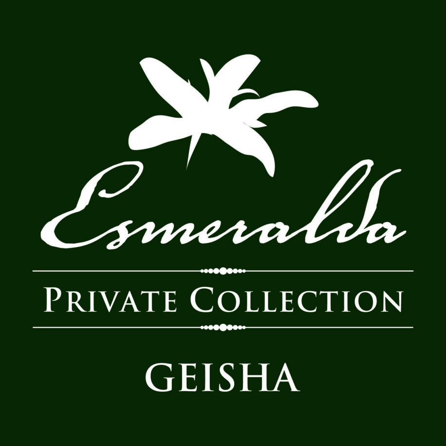 Panama La Esmeralda Canas Verdes Reframe Coffee Roasters Panama La Esmeralda Canas Verdes Reframe Coffee Roasters