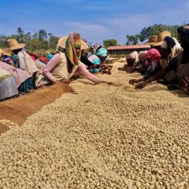 Ethiopia Wonago Factory