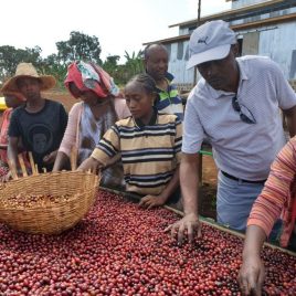 Kenya Karimikui AA