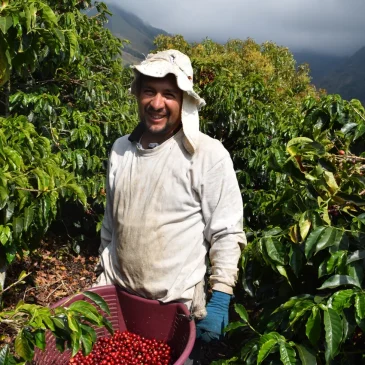 Costa Rica Don Claudio